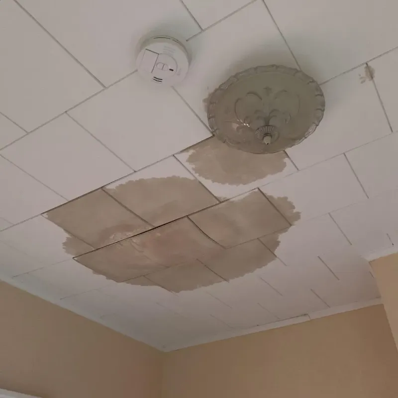 Ceiling Water Damage Repair in Pantego, TX