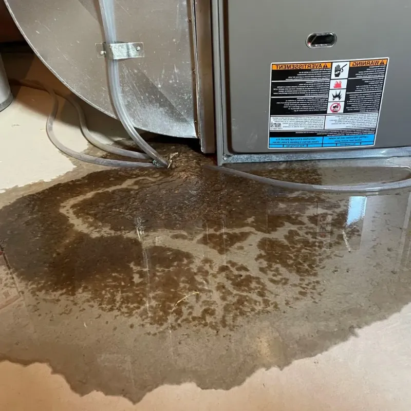 Pipe Burst and Leak Restoration in Pantego, TX